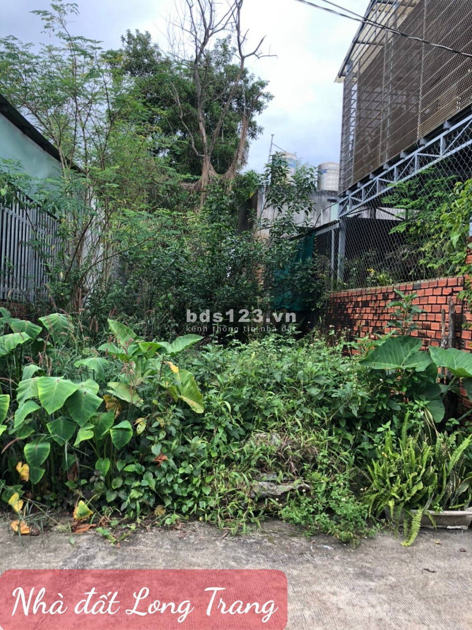 Cần bán lô đất giá rẻ, đẹp, gần nhà dân, cách chợ 200m