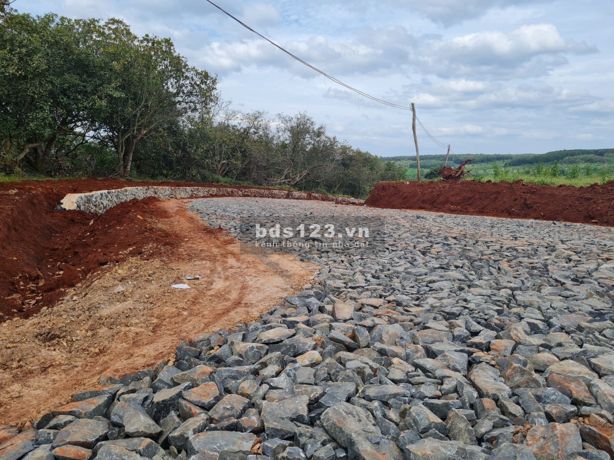 Bán gấp lô đát 2000m2 giá chỉ 500tr bao sang tên ra sổ, sổ hồng riêng, dân cư hiện hữu