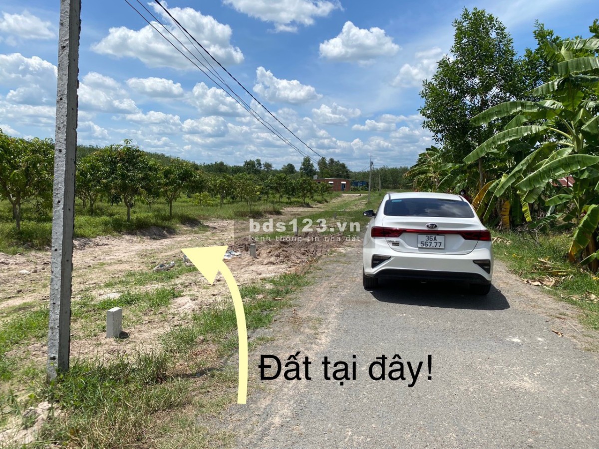 Chính chủ cần ra gấp đất thành phố Tây Ninh thổ cư 100% giá tốt