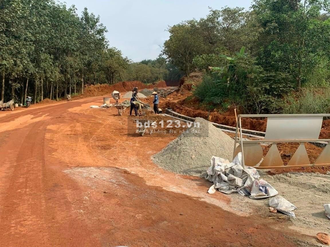 Cần bán đất sào sổ sẳn tại xã Tân Lợi - Đồng Phú giá đầu tư
