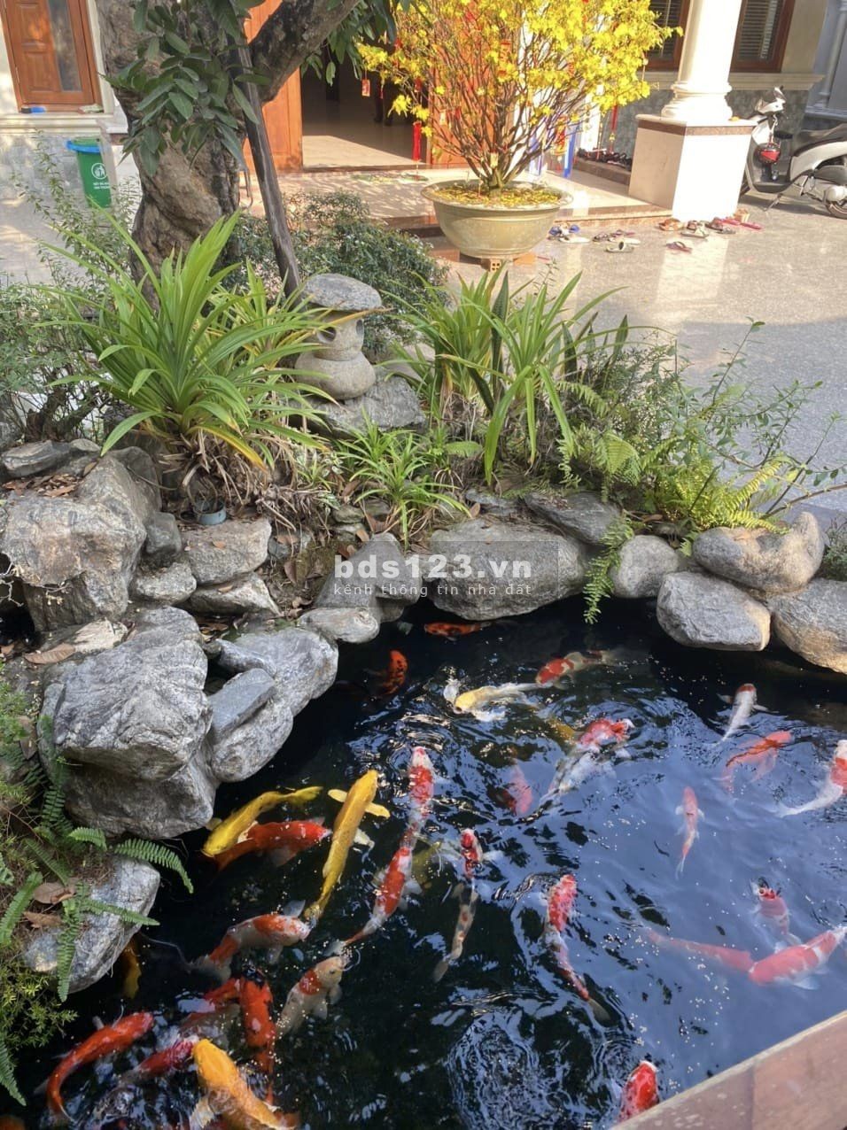 Biệt thự sân vườn đẹp phường Tân Thới Hiệp, quận 12, DT 810m², giá 32 tỷ đồng