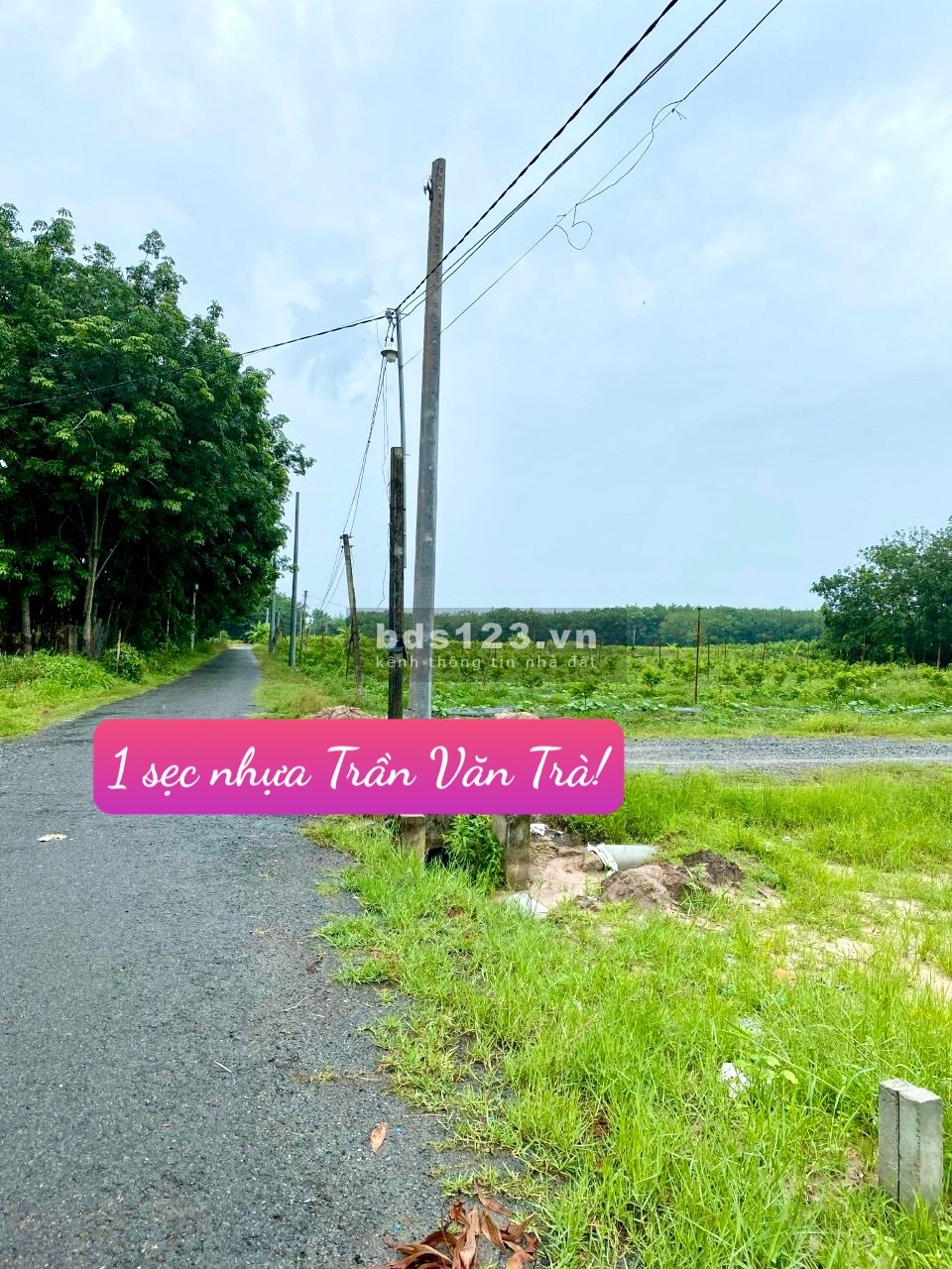 Chỉ từ 579 triệu sở hữu ngay lô đất thành phố full thổ cư, giá đầu tư