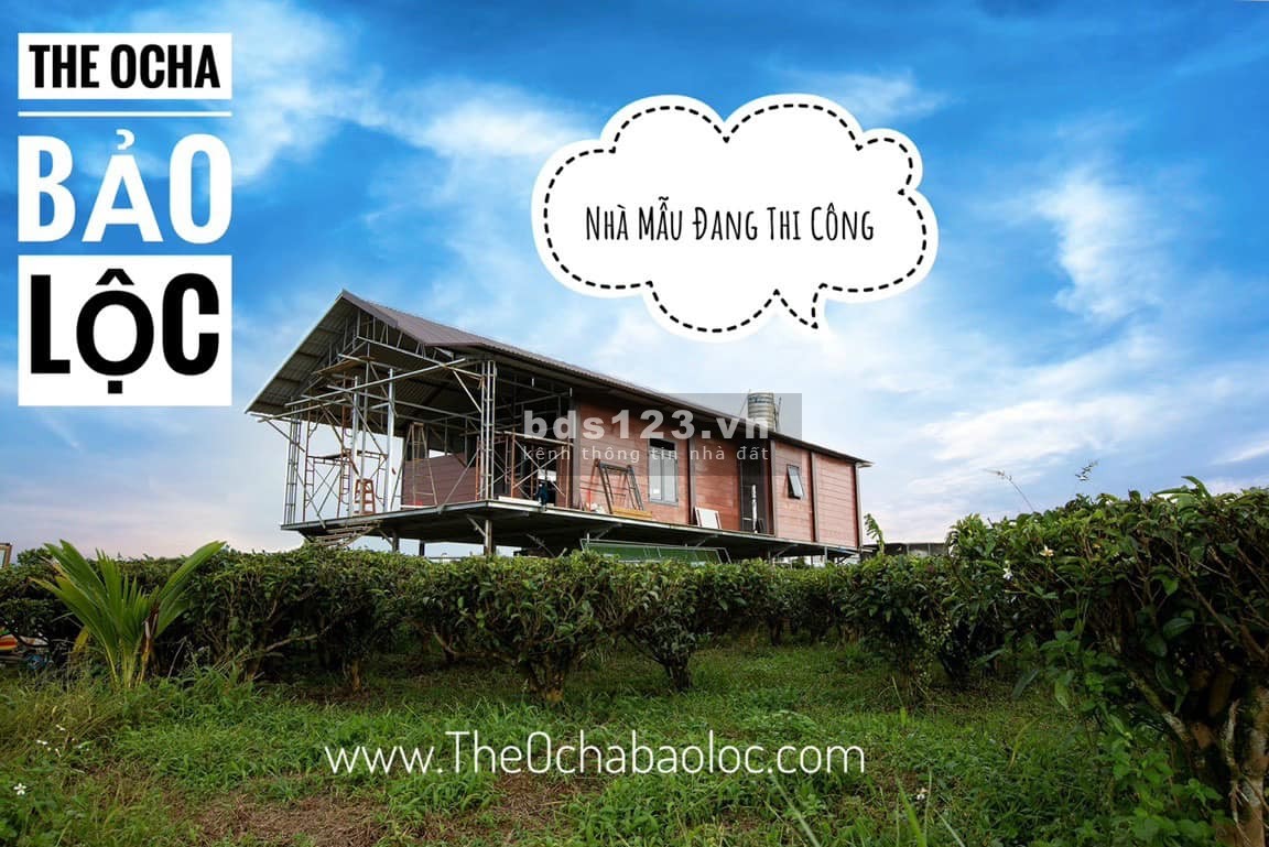 The Ocha Villa Bảo Lộc hot nhất hiện nay, giá đầu tư sinh lời