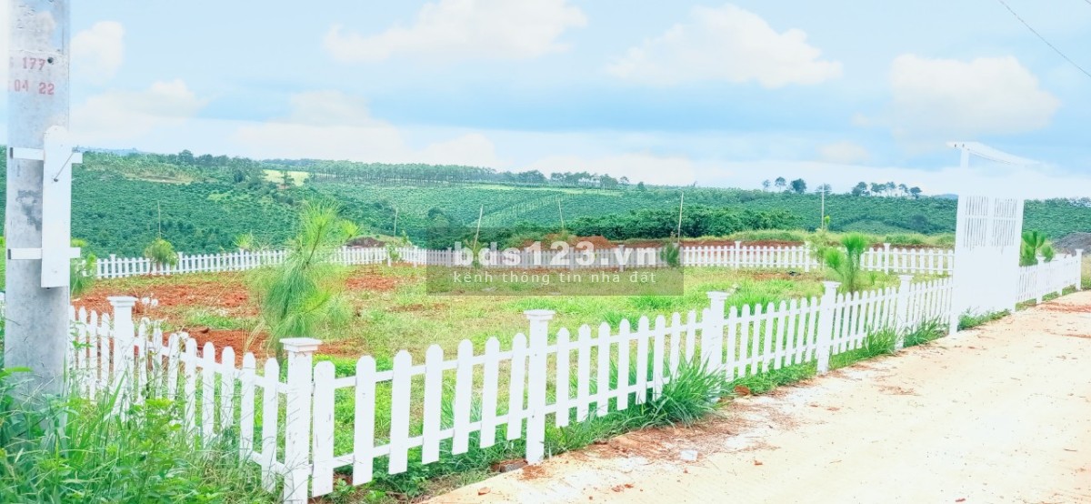 Thanh lý đất Ngộp View hồ 600m2 Sổ hồng Thổ cư Bảo Lộc giá rẻ chỉ 990 Triệu