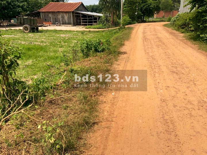 Còn 2 lô đất sào trồng sẵn mì ở trung tâm thành phố Tây Ninh, giá 320 triệu