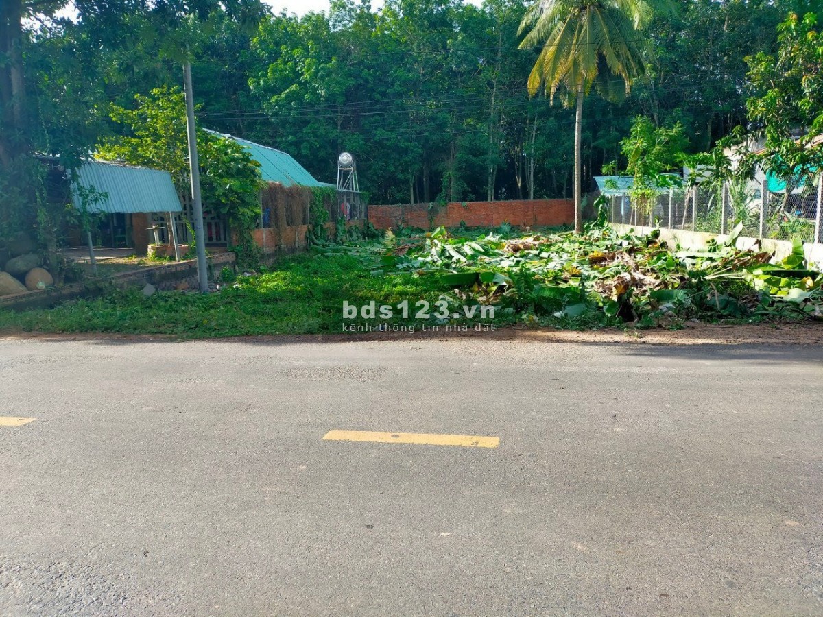 Chủ cần bán miếng đất gấp trong tuần tại ấp Trà Sim, xã Ninh Điền, huyện Châu Thành, tỉnh Tây Ninh