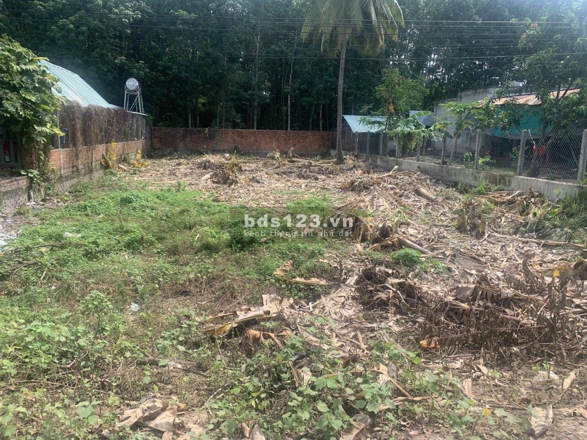 Chủ cần bán miếng đất gấp trong tuần tại ấp Trà Sim, xã Ninh Điền, huyện Châu Thành, tỉnh Tây Ninh