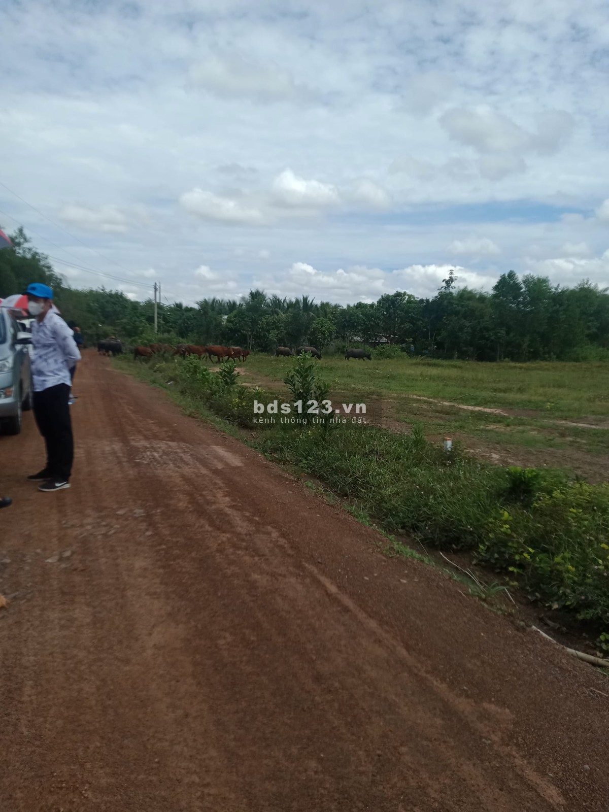 Bán 1000m2 đất dưới chân núi Bà Đen trung tâm thị trấn Dương Minh Châu bán lỗ giá 380tr