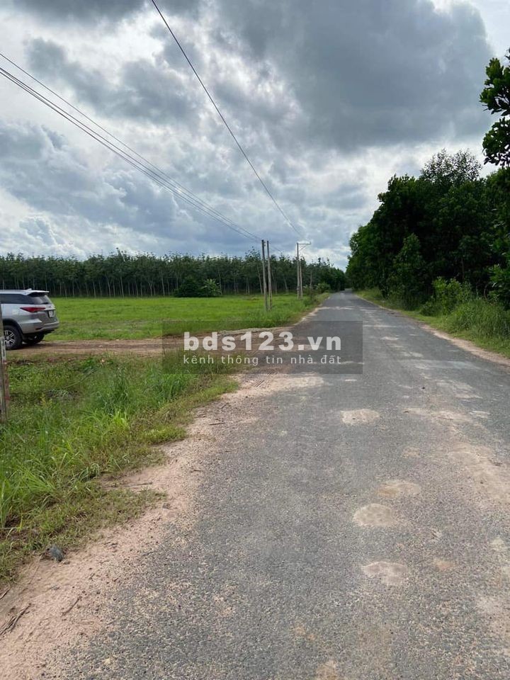 Bán 1,4 sào đất ở TP. Tây Ninh, gần ngay chợ Thạnh Tân, giá chỉ 380 triệu