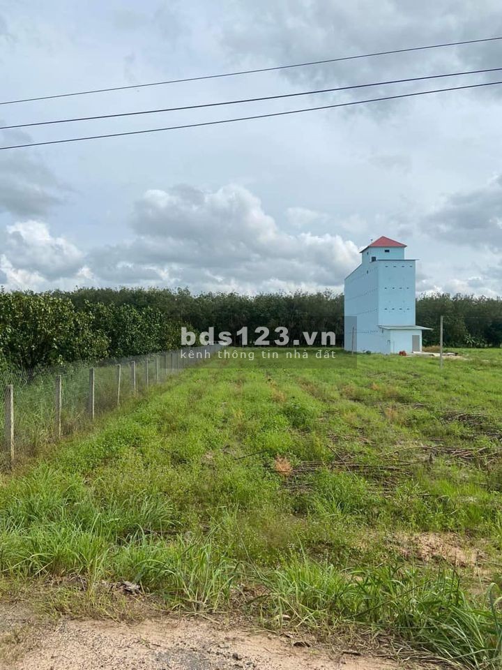 Bán 1,4 sào đất ở TP. Tây Ninh, gần ngay chợ Thạnh Tân, giá chỉ 380 triệu