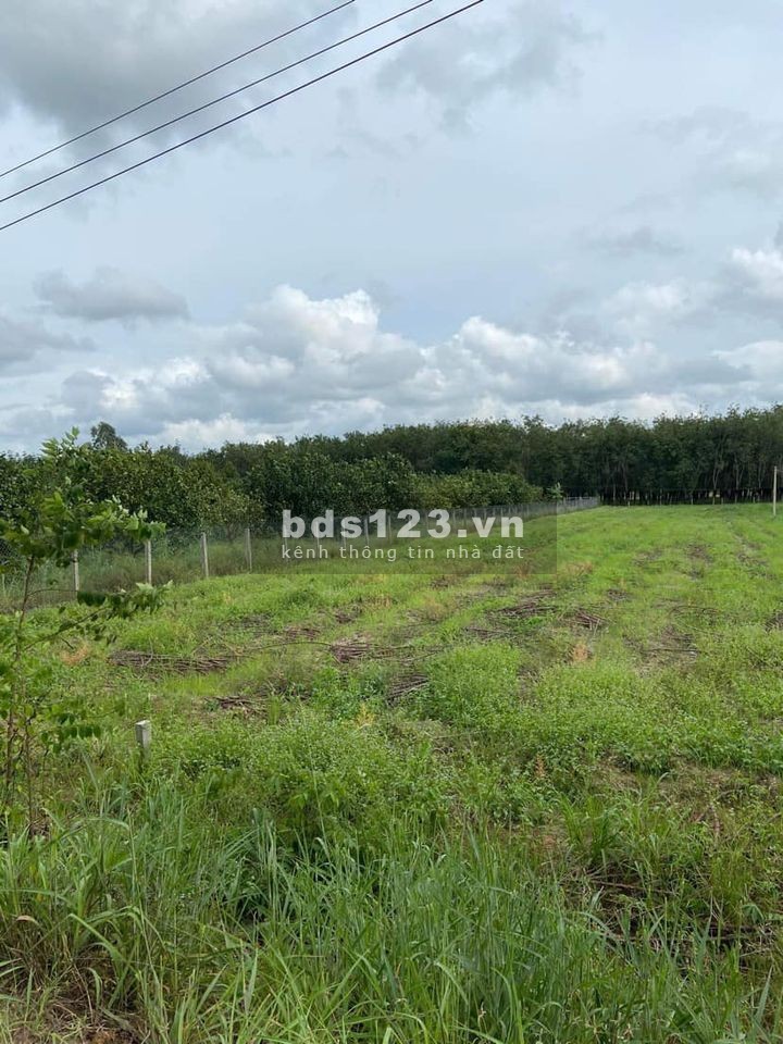 Bán 1,4 sào đất ở TP. Tây Ninh, gần ngay chợ Thạnh Tân, giá chỉ 380 triệu