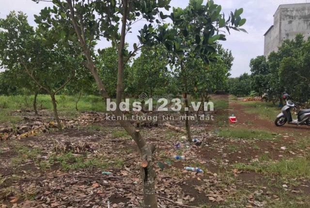 Kẹt vốn ngân hàng nên cần bán gấp Đất Thổ Cư ở Sông Thao, Đồng Nai