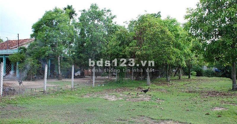 Kẹt vốn ngân hàng nên cần bán gấp Đất Thổ Cư ở Sông Thao, Đồng Nai