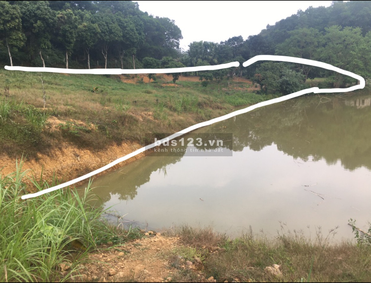 Bán 5000 m2 sổ đỏ bám hồ ở yên bài ba vì HN giá rẻ nhất làm resort