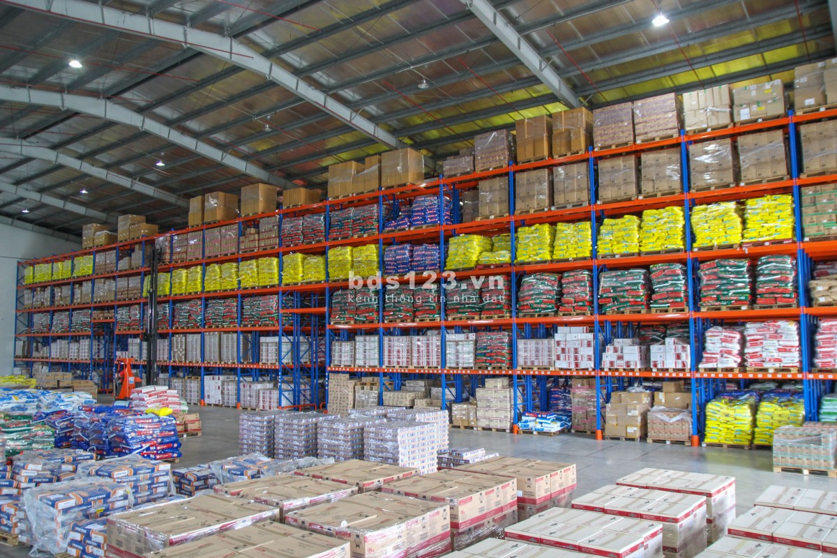 Cho thuê kho chung tại tp HCM, giải pháp lưu trữ tiết kiệm, tiện lợi & an toàn