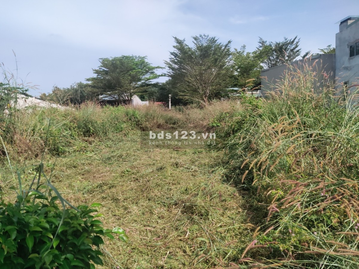 Chính chủ cần tiền trả nợ ngân hàng liên hệ 0377991382