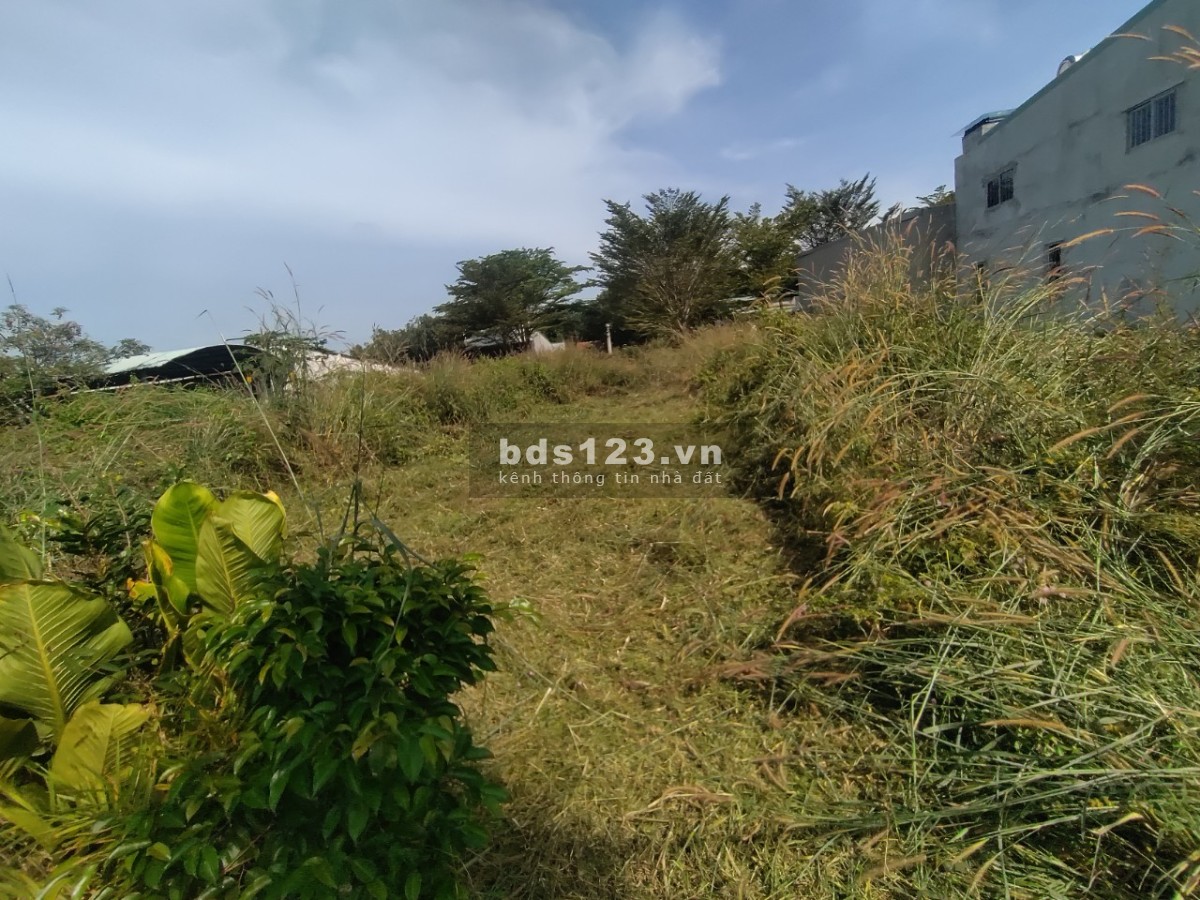 Chính chủ cần tiền trả nợ ngân hàng liên hệ 0377991382