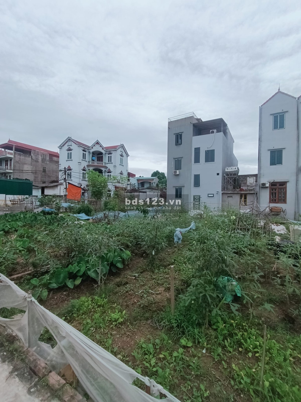 Đất rẻ Hoàng Xá Kiêu Kỵ Gia Lâm cần tiền bán gấp 45m, giá hơn 1 tỷ, ô tô đỗ cửa