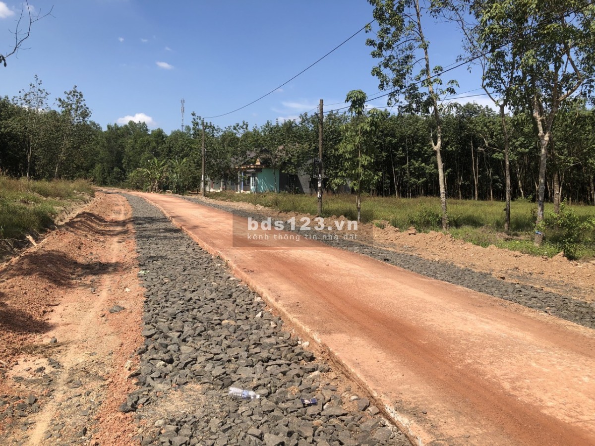 Cần ra gấp lô đất 300m2 sổ sẵn, ngay trung tâm KCN Đồng phú
