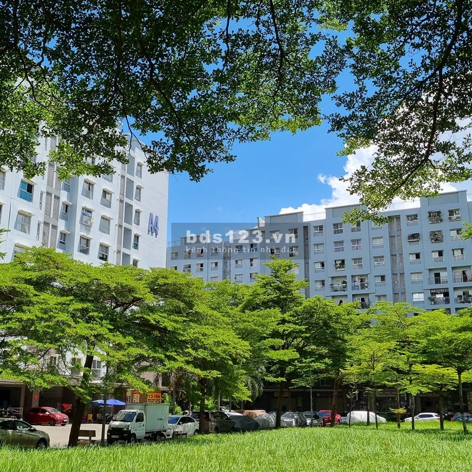 Cần cho thuê gấp căn hộ Ehome 3, Hồ Học Lãm Bình Tân