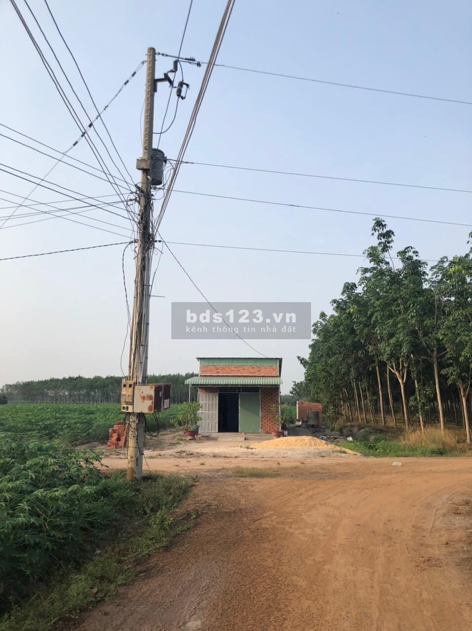 Chính chủ cần bán 3 lô đất liền kề khu vực đông dân cư, đường sỏi đỏ, bình điện trung thế ngay đất.
