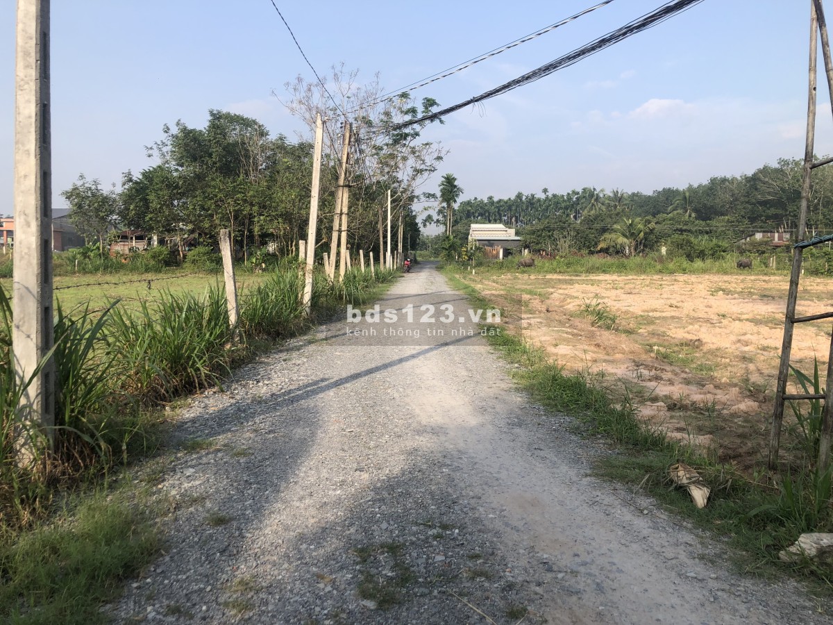 Đất thổ cư Cây Da Hiệp Thạnh giá rẻ dt 5x25, 530 triệu, liền kề KCN Hiệp Thạnh, Gò Dầu
