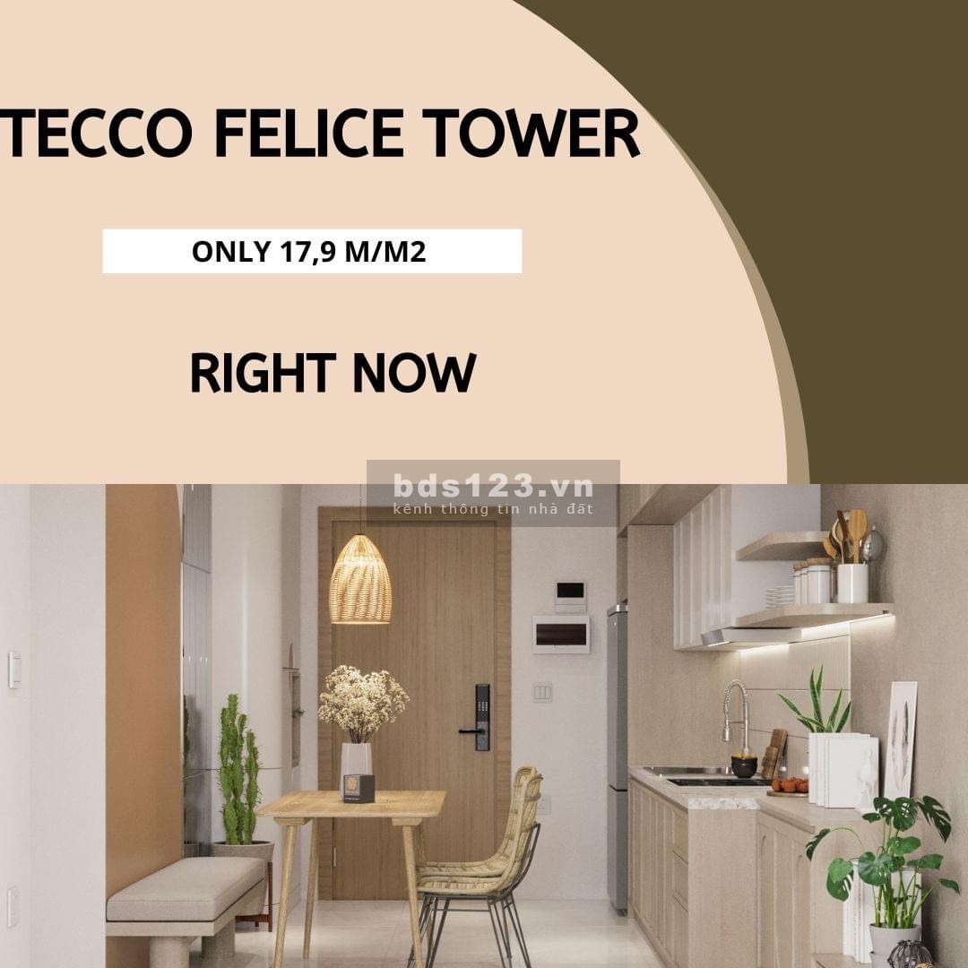 Căn hộ cao cấp Tecco Felice Tower giá chỉ với 850 triệu tiện ích đủ