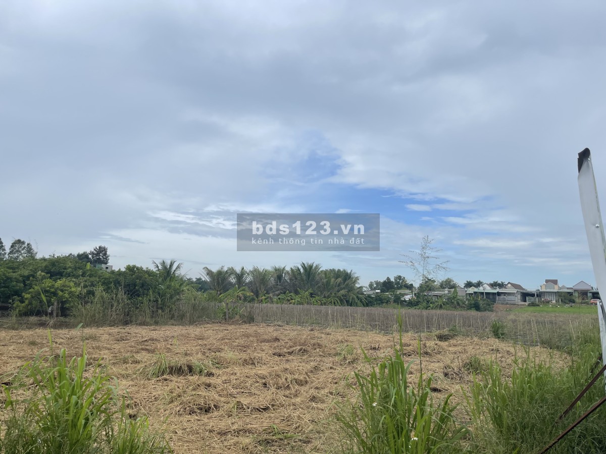 Đất chính chủ kẹt tiền cần ra gấp sổ sẵn chính chủ