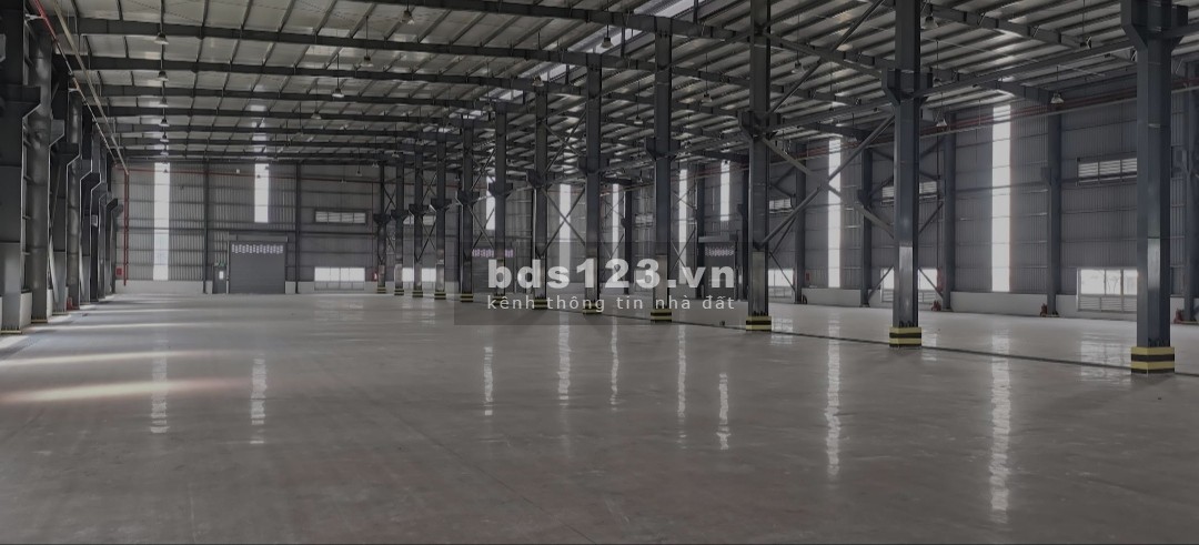 Cho thuê kho dtsd 6059m2 DT826, Long Trạch, Cần Đước, Long An