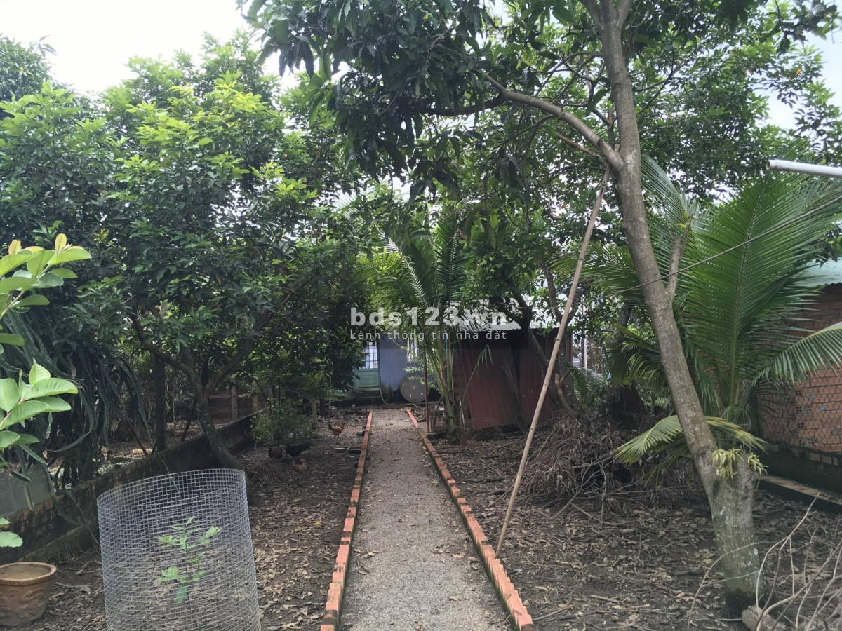 Nhà sân vườn mặt tiền sông Cù lao Phố Biên Hòa, Đồng Nai, an ninh