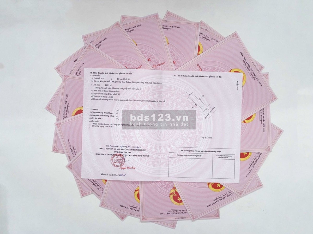 Tuyệt tác thiên nhiên tươi đẹp cạnh Hồ Suối Cam – trái tim xanh của TP Đồng Xoài