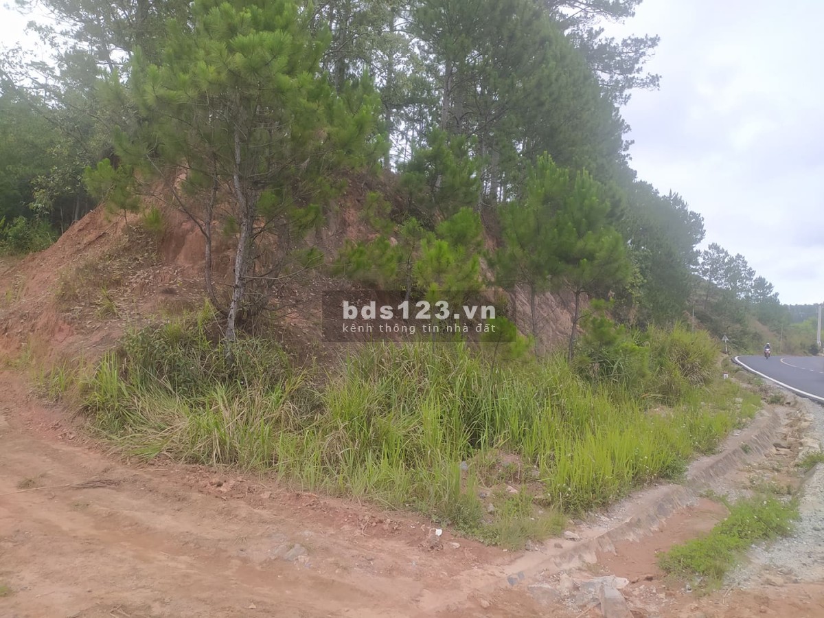 Bán đất ql27c view đẹp diện tích 4900m2 đường lớn, giá đầu tư