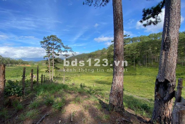 Bán đất ql27c view đẹp diện tích 4900m2 đường lớn, giá đầu tư