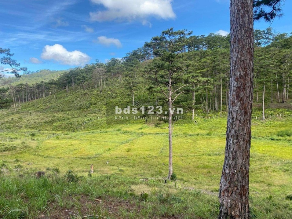 Bán đất ql27c view đẹp diện tích 4900m2 đường lớn, giá đầu tư