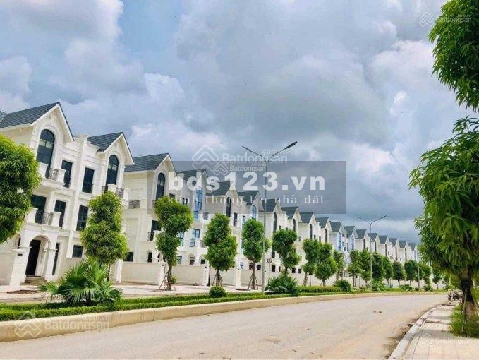 Bán shophouse liền kề Hải Âu, giá nhỉnh chỉ từ 7 tỷ tại Vinhomes Ocean Park Gia Lâm