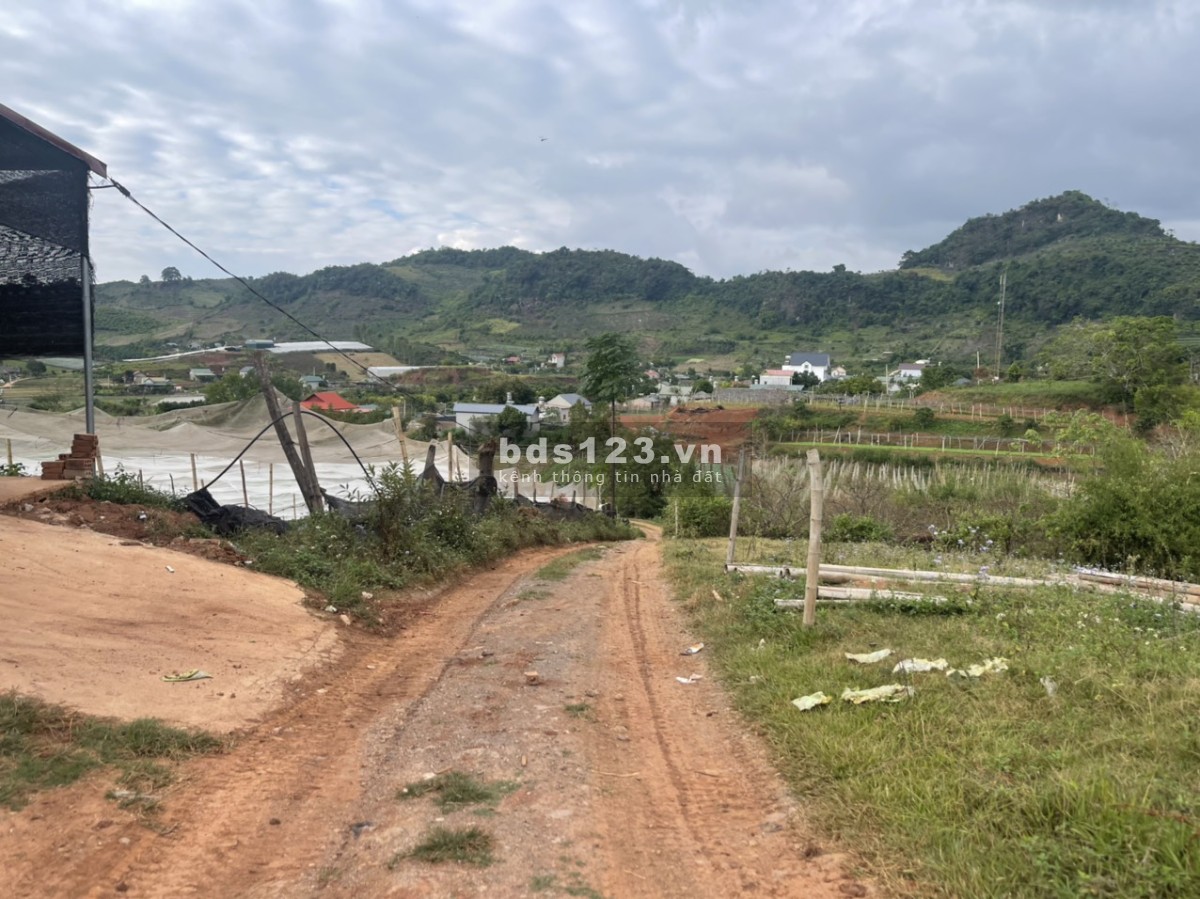 Bán đất Mộc Châu đón sóng cao tốc giá siêu rẻ gần Mộc Châu Eco farm
