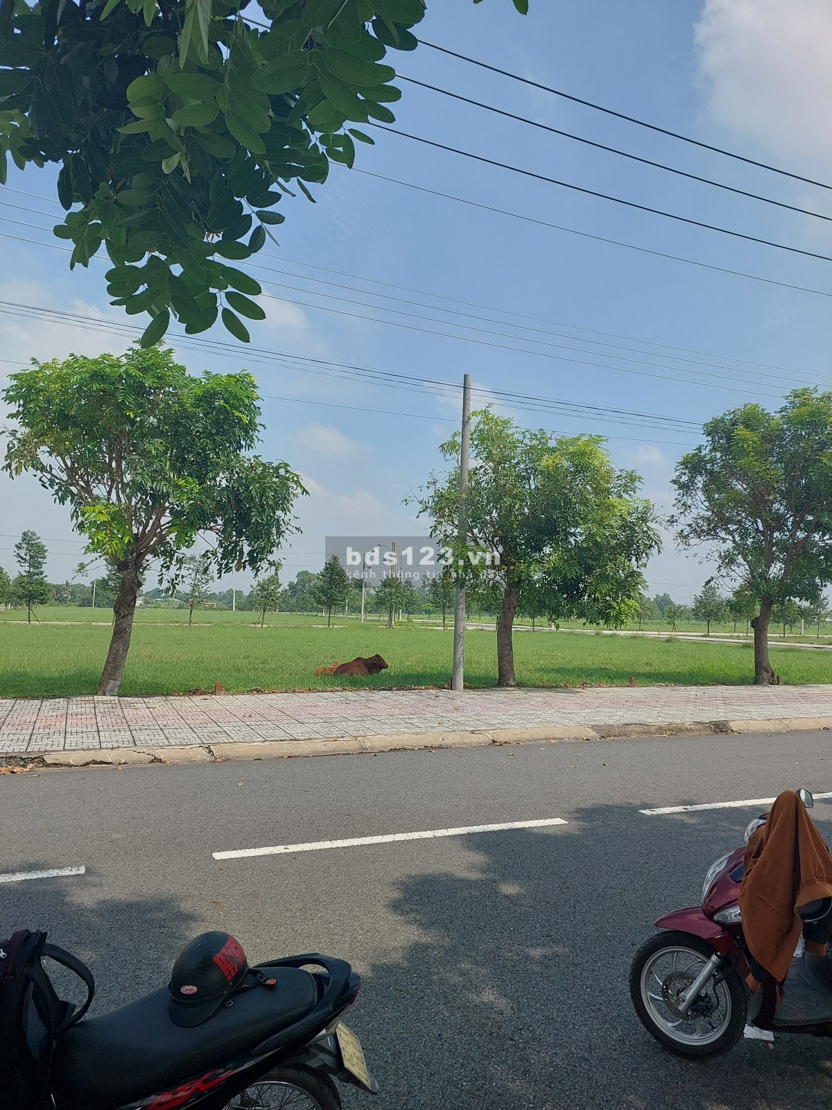 Chính Thức Nhận Booking khu Dân Cư liền kề Khu Công Nghiệp Cầu Tràm View Sông