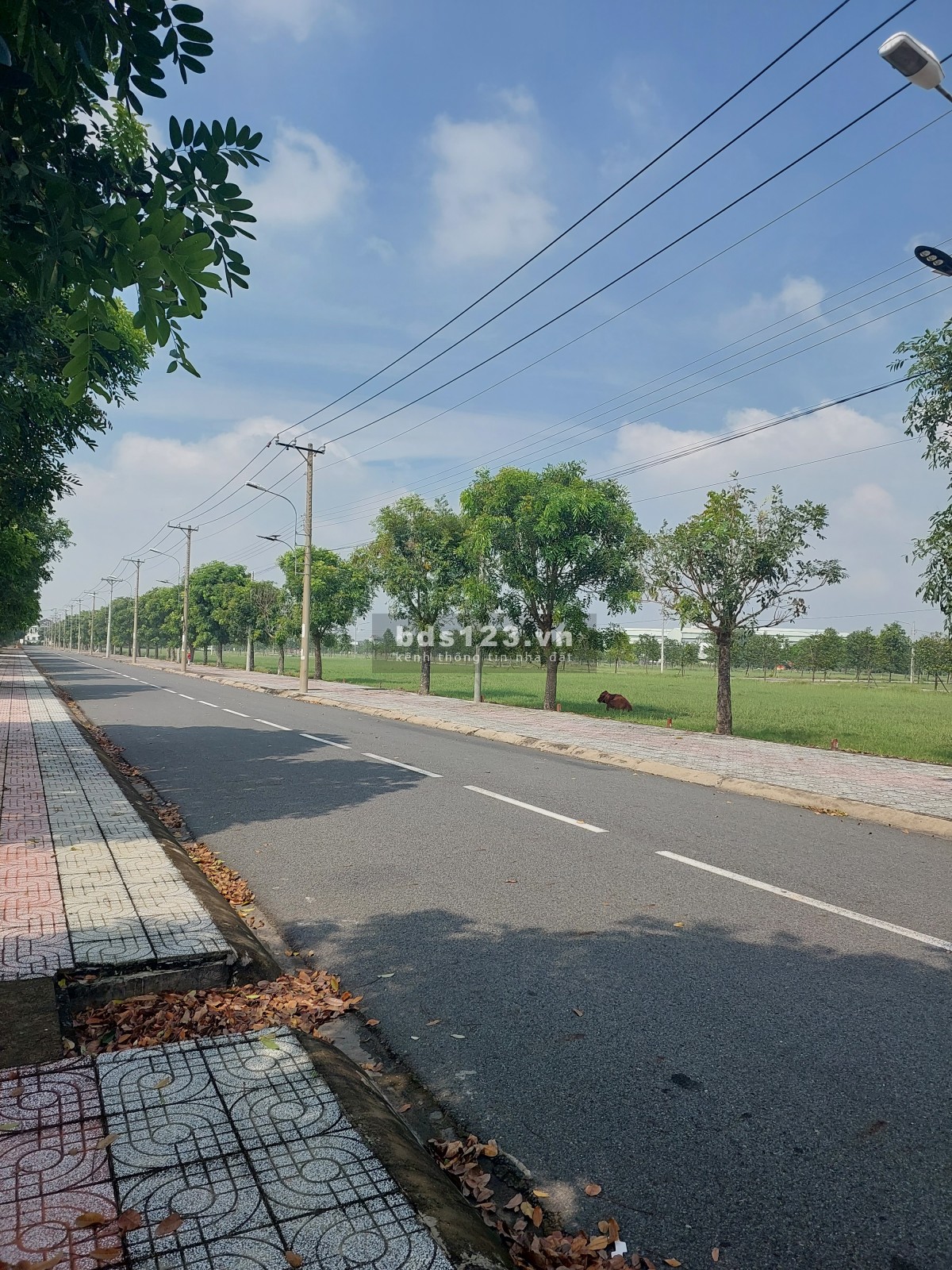 Chính Thức Nhận Booking khu Dân Cư liền kề Khu Công Nghiệp Cầu Tràm View Sông