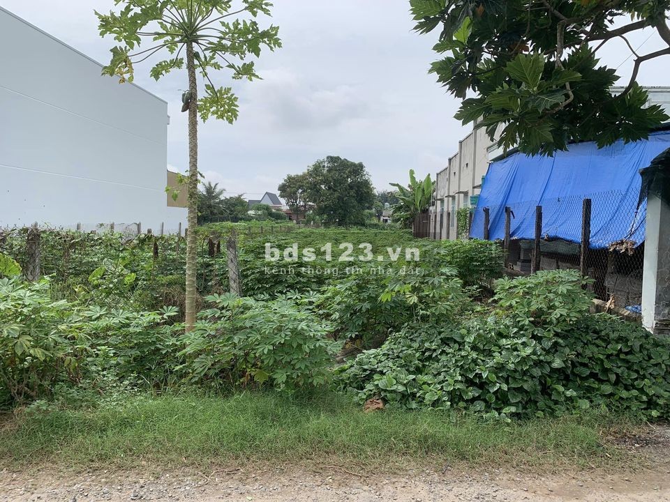 Đất ngay đường DT782, Tây Ninh, nợ ngân hàng bán nhanh giá 280 triệu