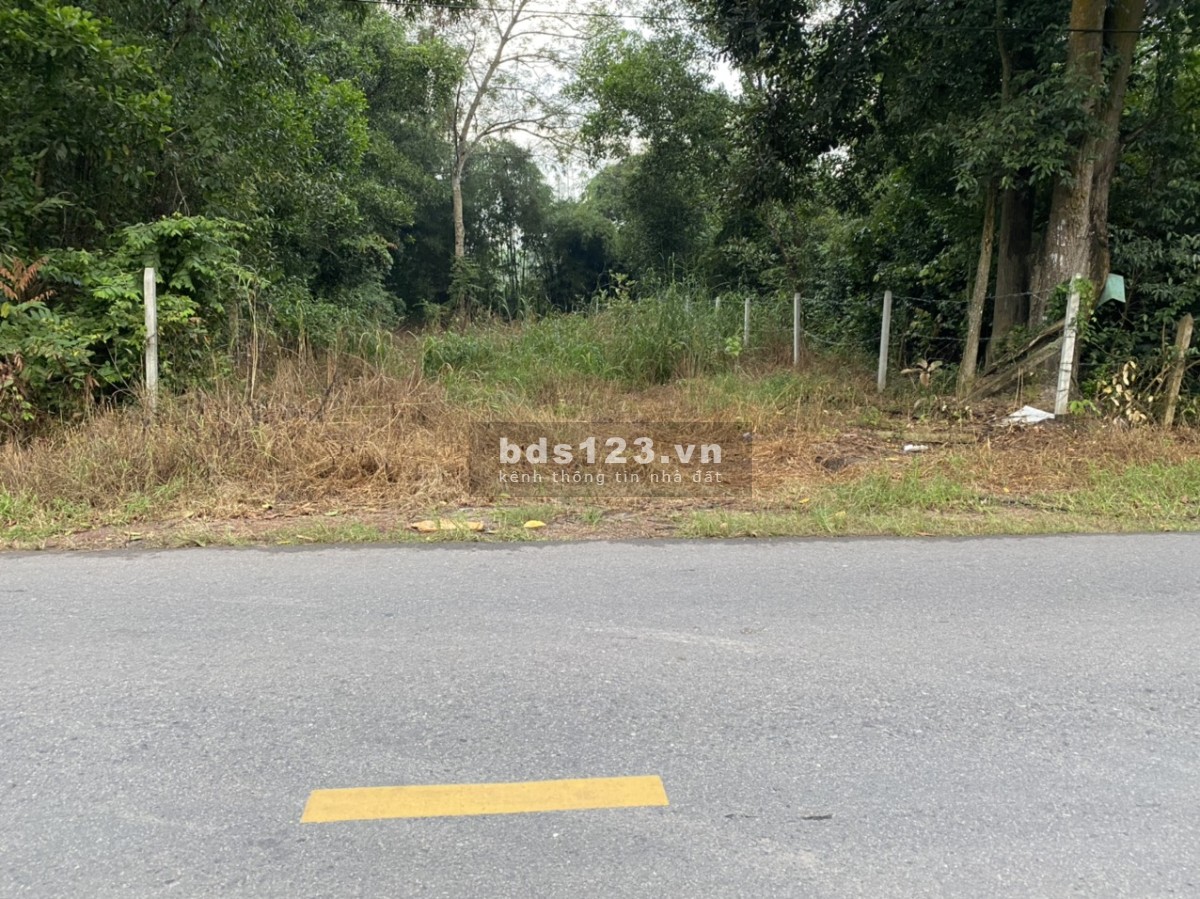 Bán mặt tiền 10x40m tại DT748, An Điền, Bến Cát, Bình Dương