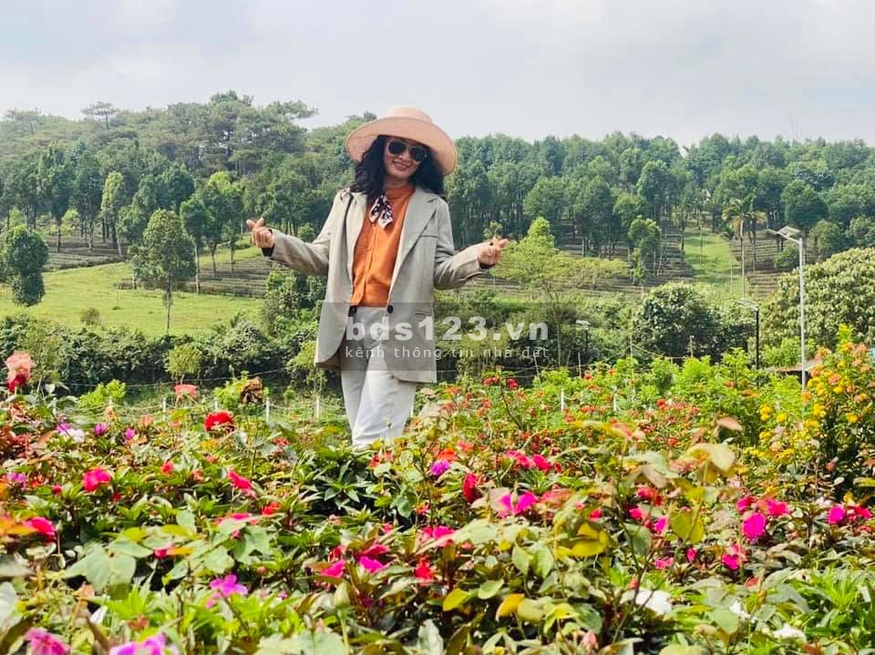 Bán đất Bảo Lộc Lâm Đồng View Hồ Sổ sẵn Thổ cư giá chỉ từ 880 triệu/nền