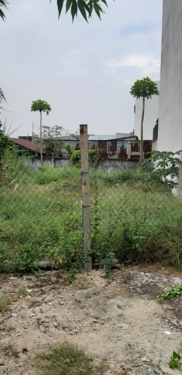 Bán đất nền QL 50 ngay UBND xã Phong Phú 178m2 (5,5m nở hậu 11m) 4 tỷ