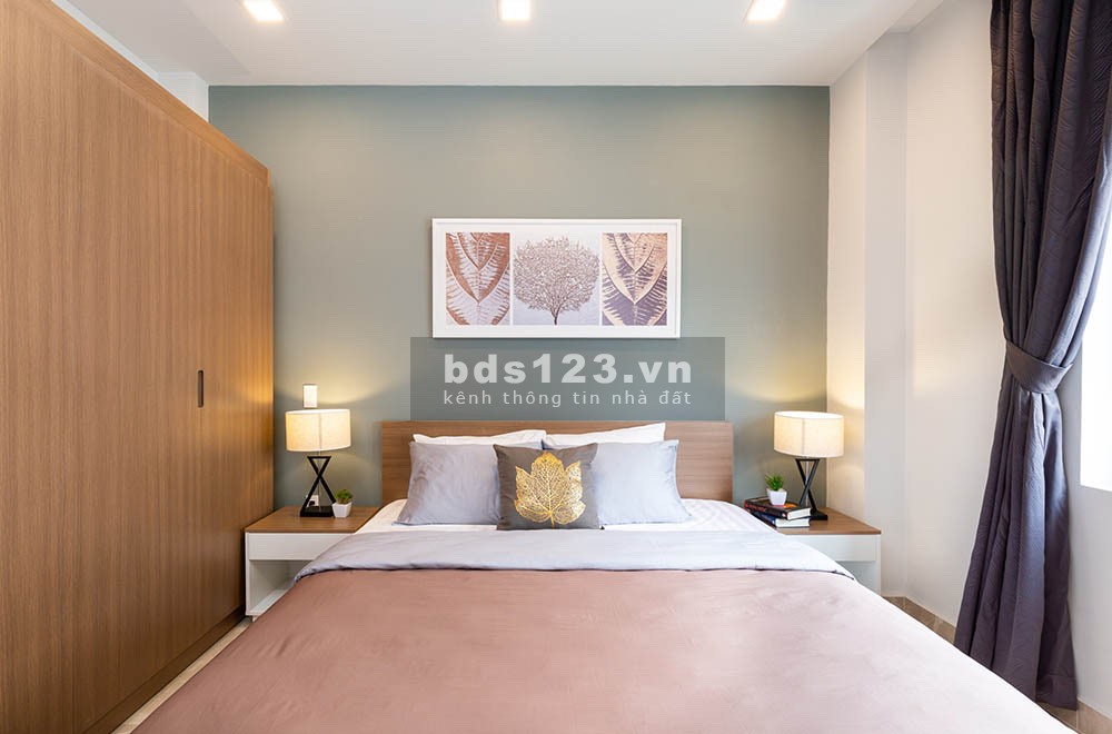 Diện tích 60m2 1PN bancon gần SC Vivo chợ Tân Mỹ Lotte Quận 7