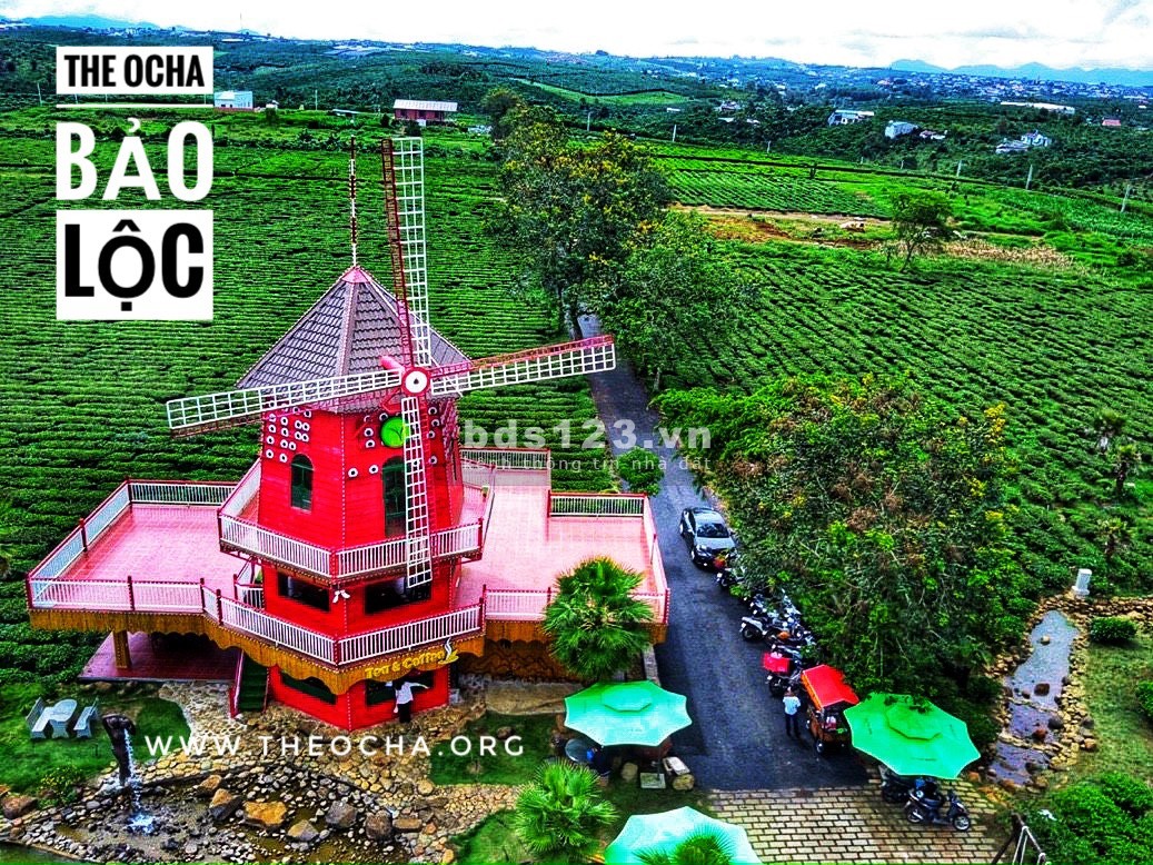 The Ocha đất nghĩ dưỡng hot nhất Bảo Lộc hiện nay, liên hệ chính chủ 036.5555.667