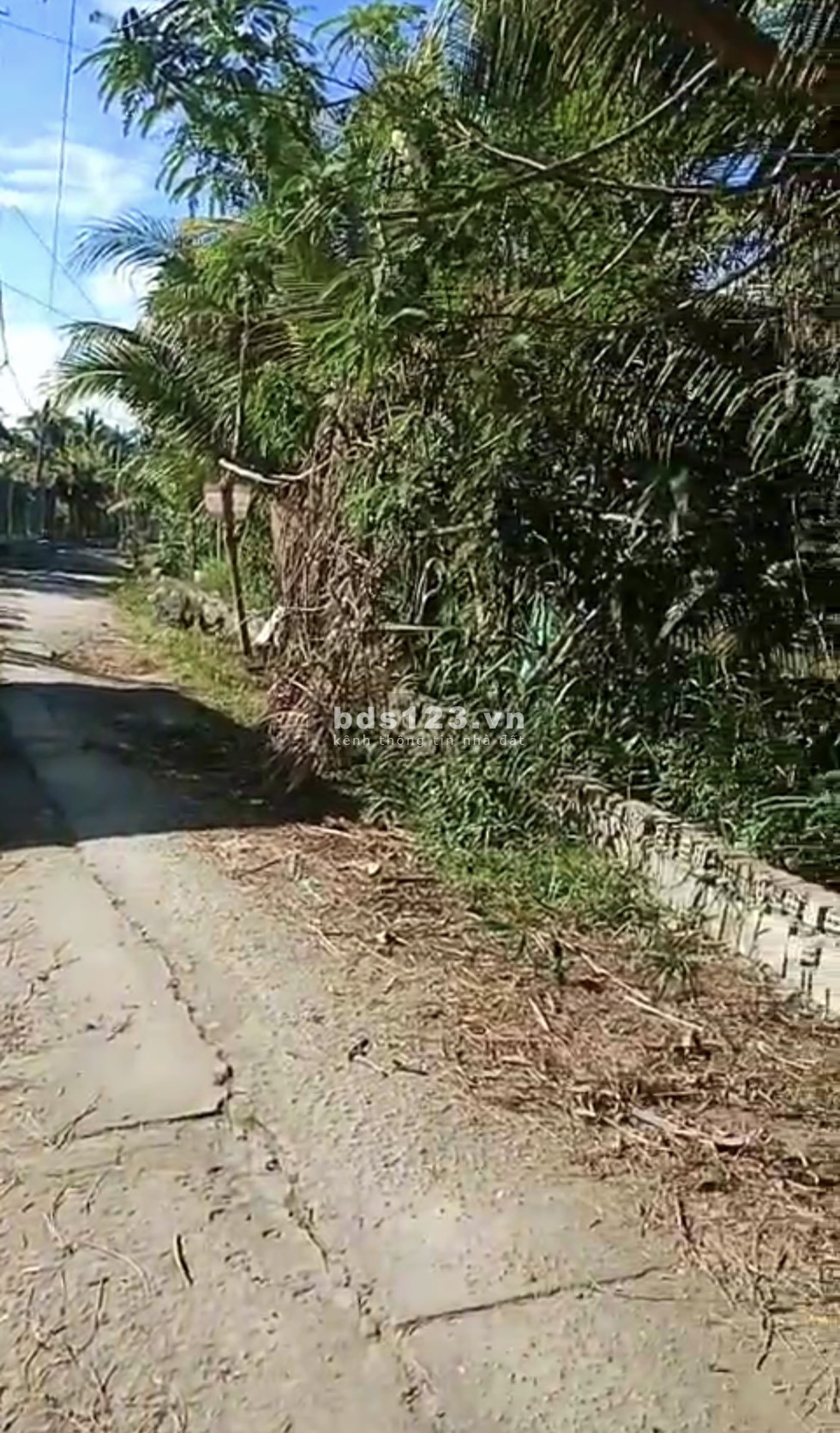 Bán đất Định Môn, huyện Thới Lai, TP Cần Thơ, DT 100m² đất thổ cư