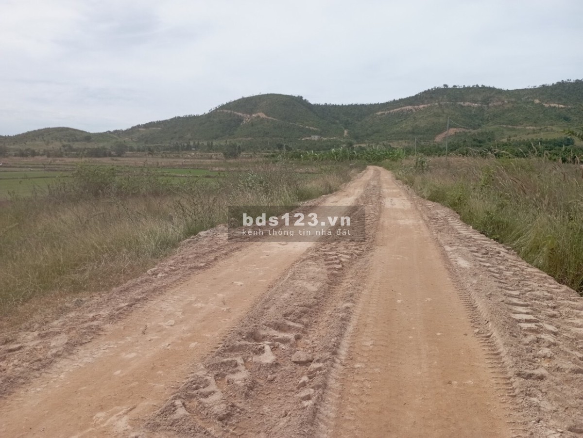 886,5m2 đất 2 mặt tiền, sát cụm CN Sông Bình, đường oto, ngay khu dân cư, sổ sẵn, chỉ 290tr