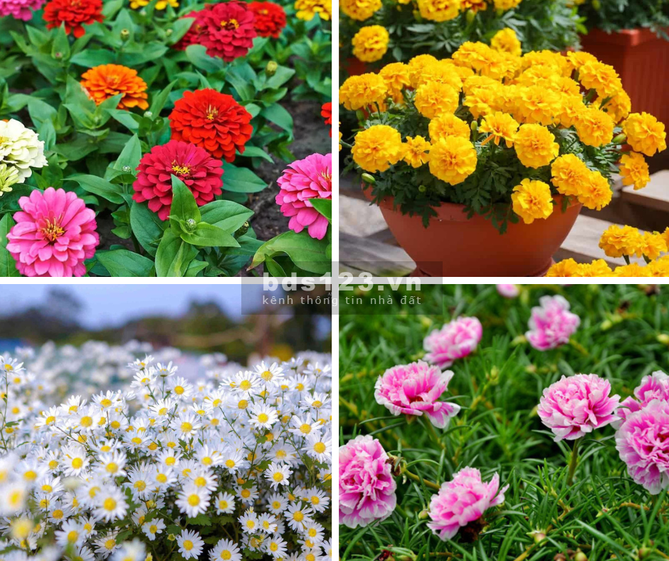 Bán đất vườn Bà Rịa, 1615m2 ngang 55m, đường ô tô, sổ sẵn, NH cho vay 100% giá trị đất