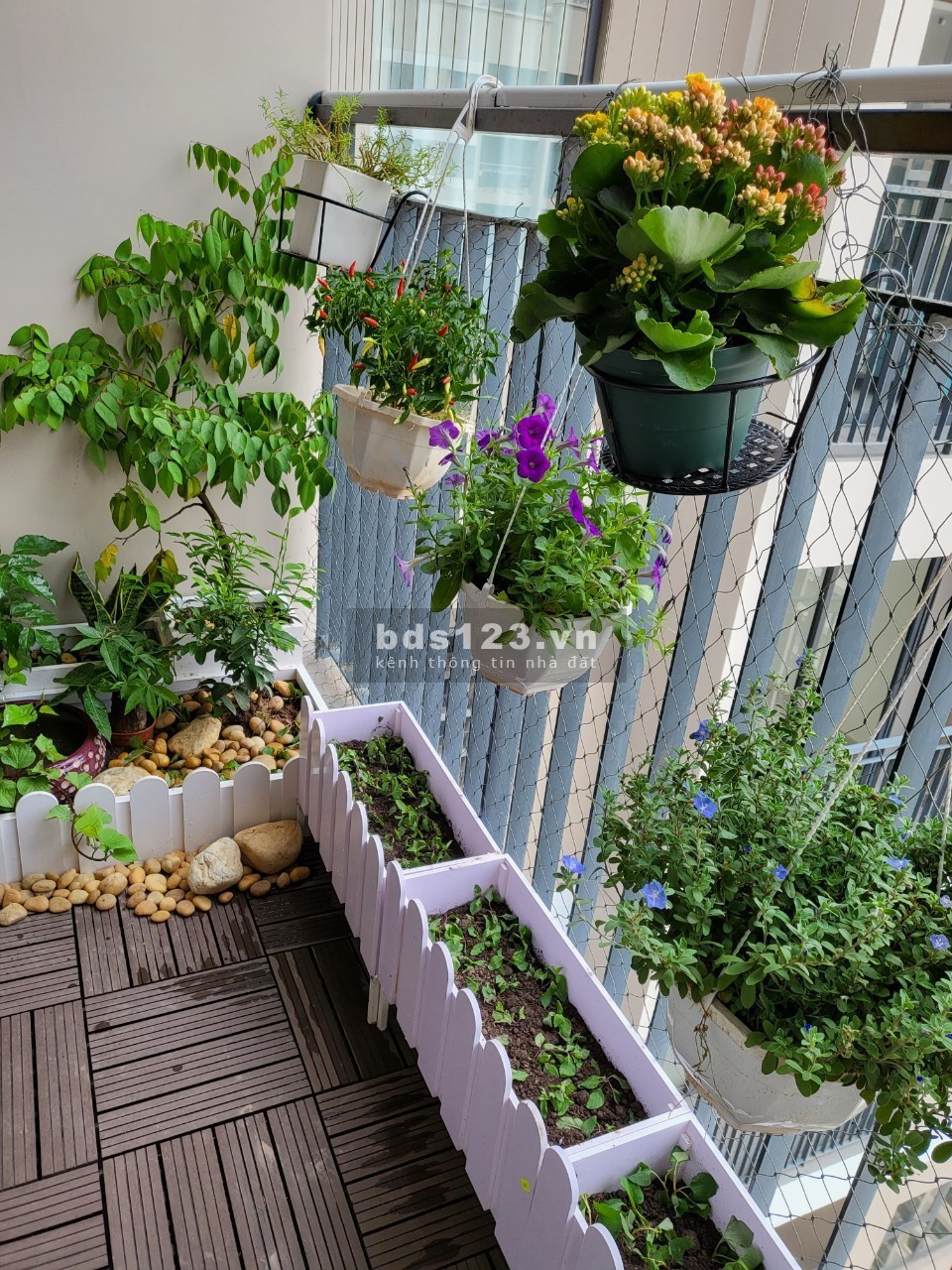 BÁN GẤP CĂN 2 NGỦ 1VS GIÁ 1.5 TỶ VIEW BỂ BƠI VINHOMES GIA LÂM LH: 0976. 366. 513