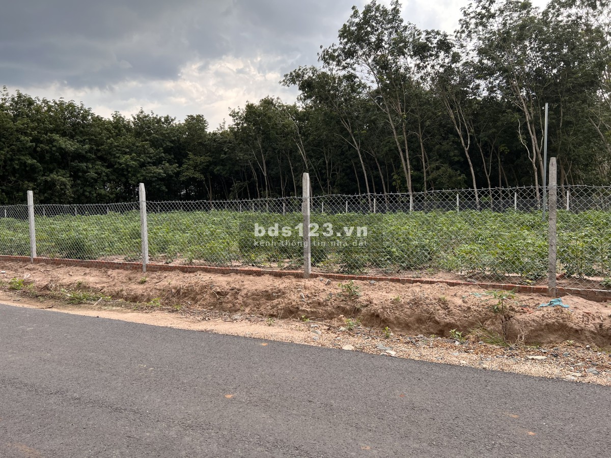 Chủ giảm 270 triệu trong tuần - 45/463, 1/đường nhựa 16m, giá f0 bao thị trường, cổng kcn 2000ha