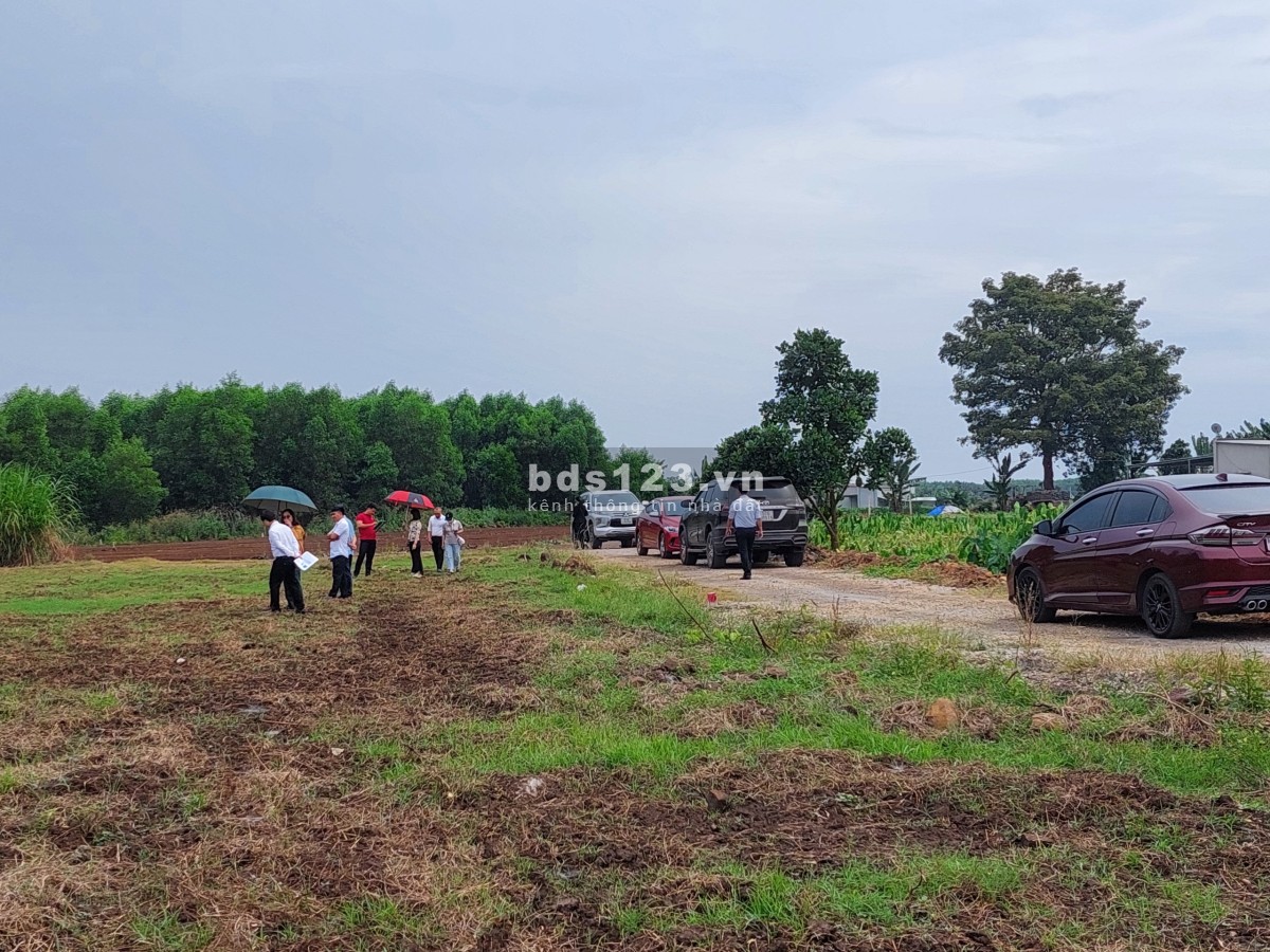 Bán đất vườn Bà Rịa, 1615m2 ngang 55m, đường ô tô, sổ sẵn, NH cho vay 100% giá trị đất